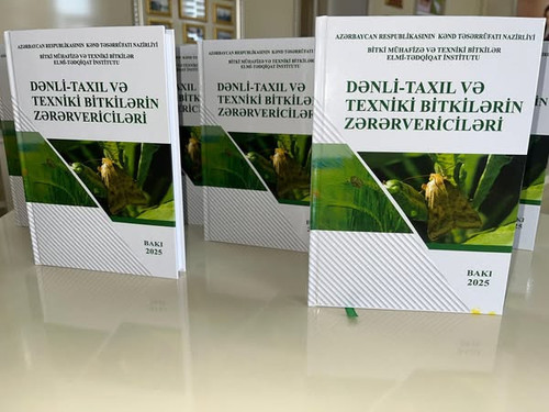 509422372 703493765879770 6600931705322674475 n.jpg?stp=dst jpg s600x600 tt6& nc cat=106&ccb=1 7& nc.jpg