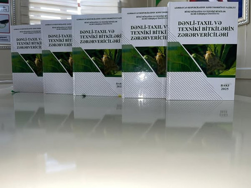 509427568 703493855879761 4761745883619159899 n.jpg?stp=dst jpg s600x600 tt6& nc cat=111&ccb=1 7& nc.jpg