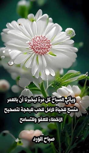 GtxORW7WEAAhMHL.jpg