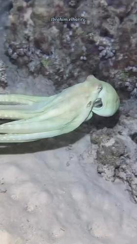 sjto nBm6l5c1L3S.jpg