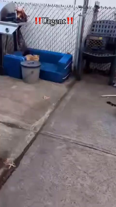 lgBjl8ulu0ok9JRu.jpg