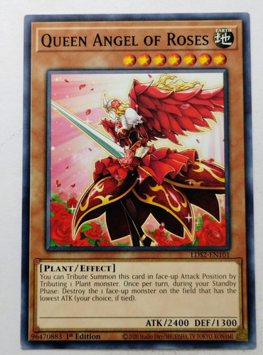 IMG 20250507 181733750.jpg