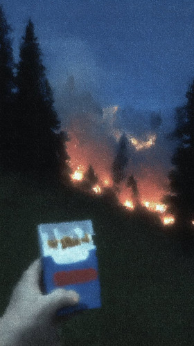 GtvZeeVXYAAedvm.jpg