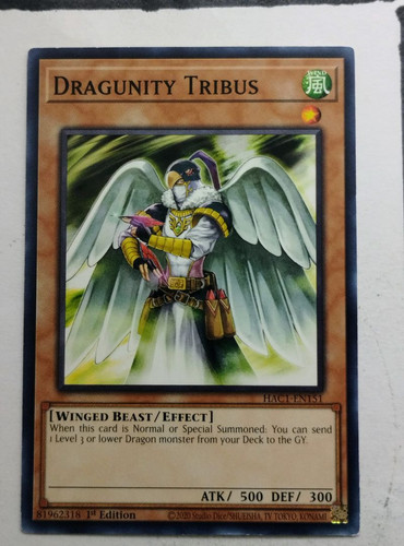 IMG 20250507 091305054.jpg