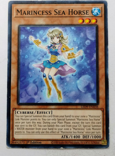 IMG 20250507 182226583.jpg