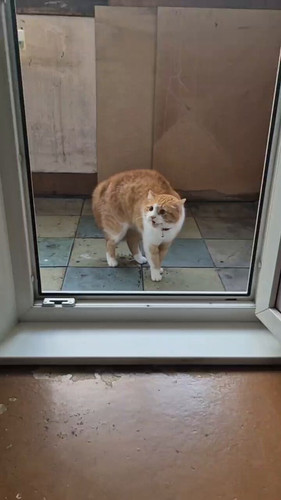 h0mONkaw2InpwbrK.jpg