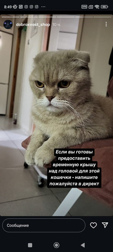 GtyMYuDXEAAQlvm.jpg