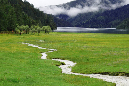 rivulet 7081759.jpg