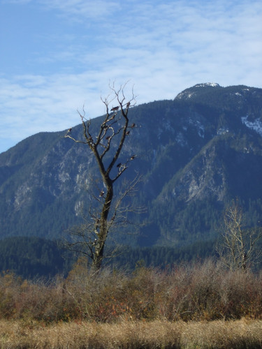 2015 0128finepix0036.jpg