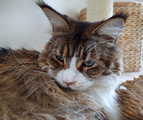 GttMWXSW4AAeYml.jpg
