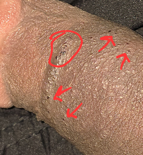 20250618 170127.jpg