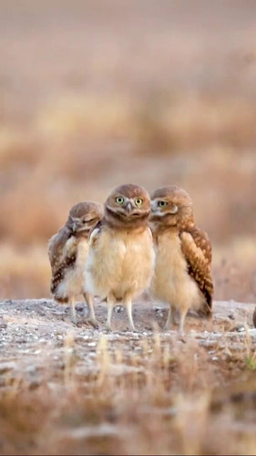 uKcvGH hgEyrZrNk.jpg