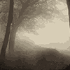 spooky(1).gif
