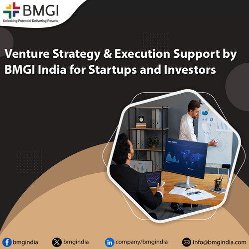 venture strategy and execution support by bmgi india for startups and investors.jpg
