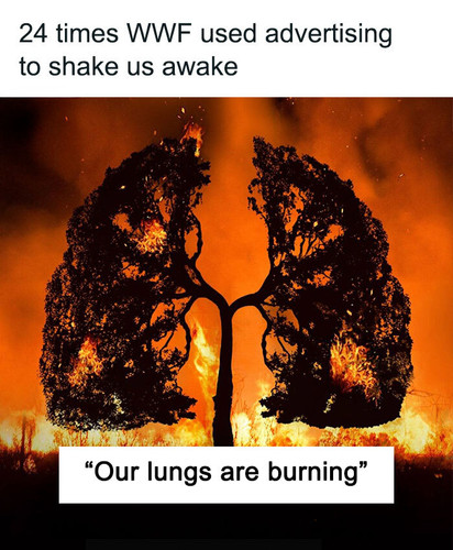 powerful wildlife campaign.jpg