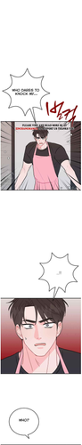 17.png