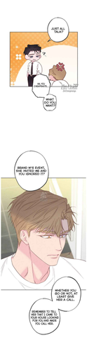 15.png