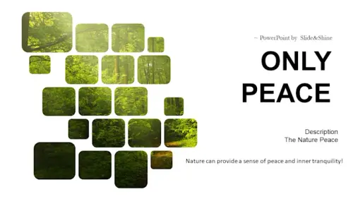 craft engaging and professional powerpoint presentations.webp