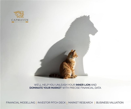 Startup Growth Through Financial Precision – CapMaven Advisors.jpg