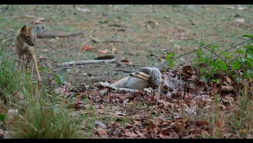 w10 S 0jXRLNW2eZ.jpg