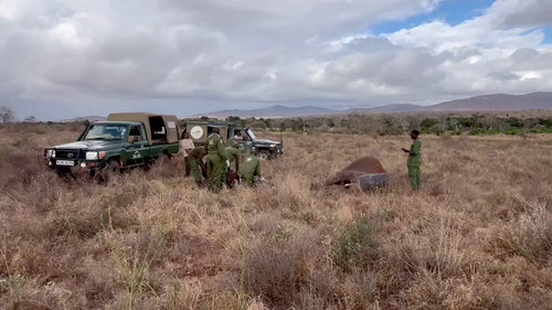 IfTgv70BkYeMUO y.jpg