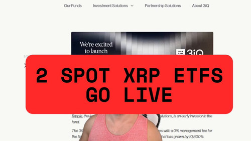 54mGvY ElRCZXXLP.jpg