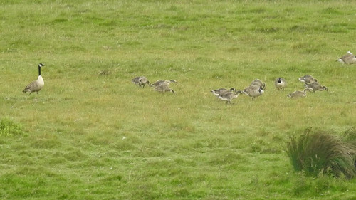 RkoU1kiuV0 GcKXE.jpg