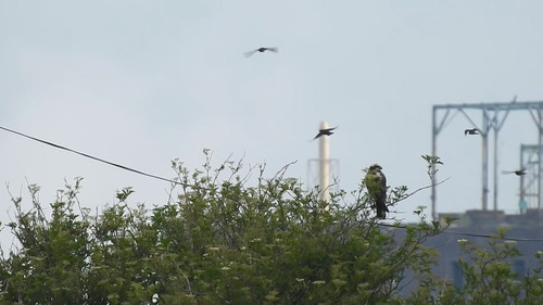 N 0tbXE25XNLFBZ9.jpg