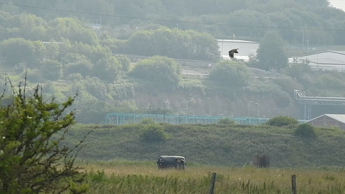 uV2WzXGQWf O3583.jpg