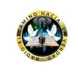 e04b27e7 d3b7 418a b3af 007e5b73cdbc removebg preview.png