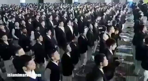 mdzpNRtOLKmpFr z.jpg