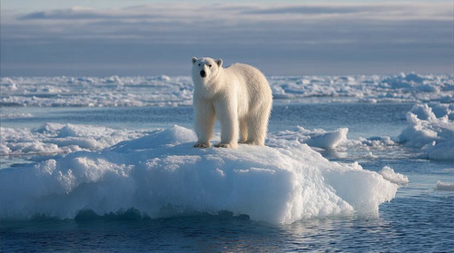 Yotj6 2cOyJZDQRp.jpg