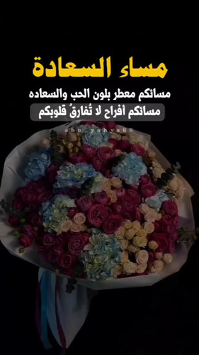 YaSeS5x0a3NxrL v.jpg