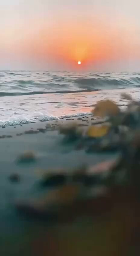 00zrcDS WuktZQjW.jpg