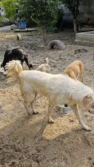 0 zW7zmcX7gXfD0h.jpg