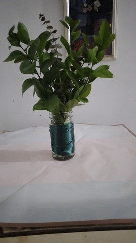 IMG 20250619 WA0018.jpg