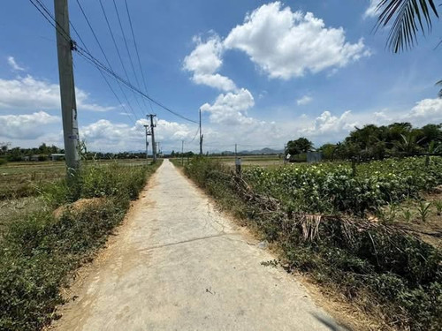 509355605 2215416045566203 5358261915870157517 n.jpg