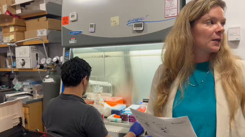 n6LVx7QsTnDHa AT.jpg