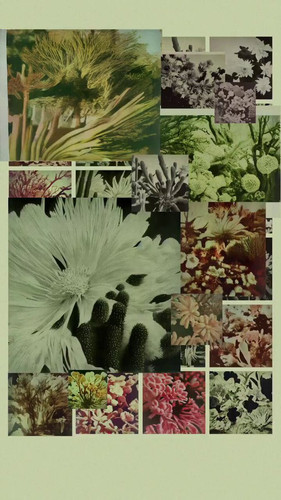 4otaiuiyqRpH 1Kw.jpg