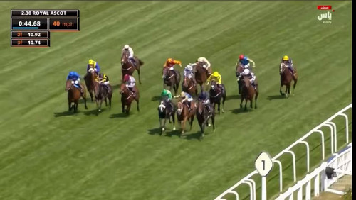 PfQAjM3iM 73Yzmk.jpg