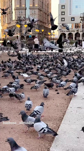 2JXLpkwt GhCkyxr.jpg