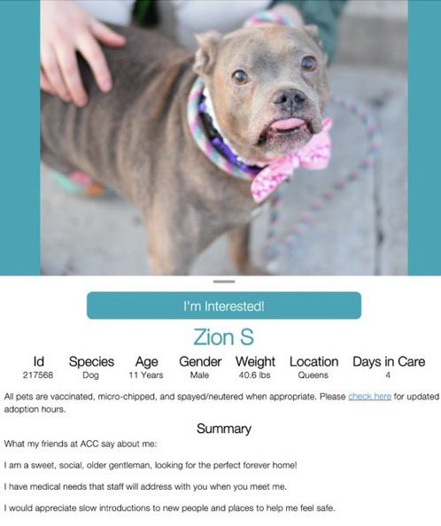 GtzGWF XoAAxX9N?format=jpg.jpg