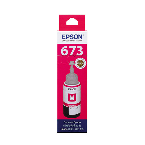 EPSON t673300.jpg