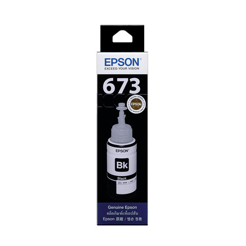 EPSON T6731.jpg