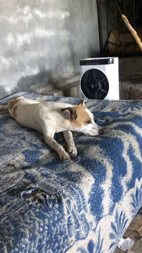 RP 3Qs4W17F5KOwp.jpg