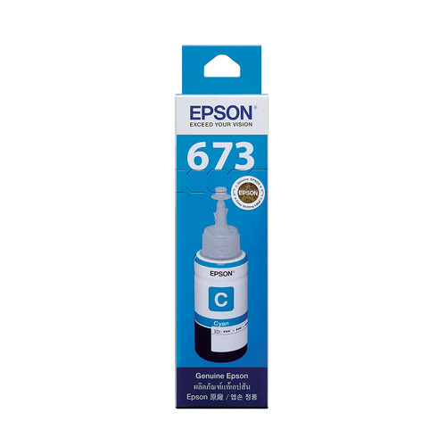 EPSON T673200.jpg