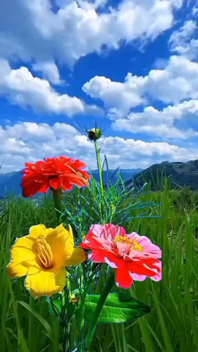 QPPR LhUZQIe 9Jr.jpg