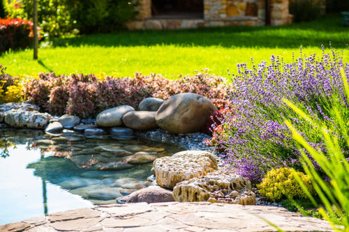 Landscaping Design in Marin County – Marion Landscape Construction.jpg