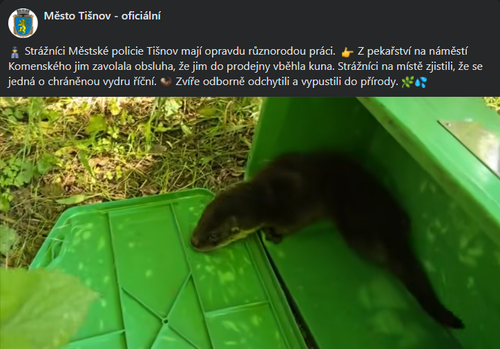 Bez názvu.png