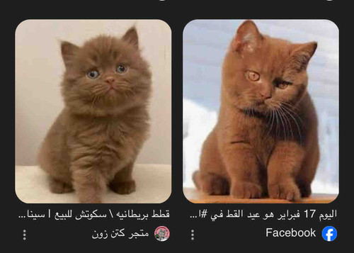 ABBC6BC4 551C 427D BBD4 9BEC7F4B7E7D.jpg